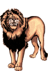 Gif animé lion rugit